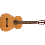 Fender 0971160121 FA-15N 3/4 Nylon w/ Gig Bag