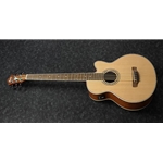 Ibanez AEB105ENT 5-String Acoustic Bass w/ Pickup