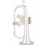 EFG512GS Eastman Flugelhorn w/Gold Brass Bell, Silver Plated