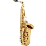 Eastman EAS451 Step-up Alto Saxophone