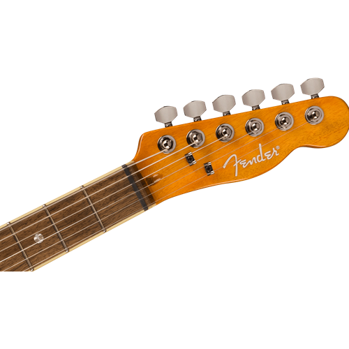 The Music Store, Inc. - Fender 0262004520 Special Edition Custom