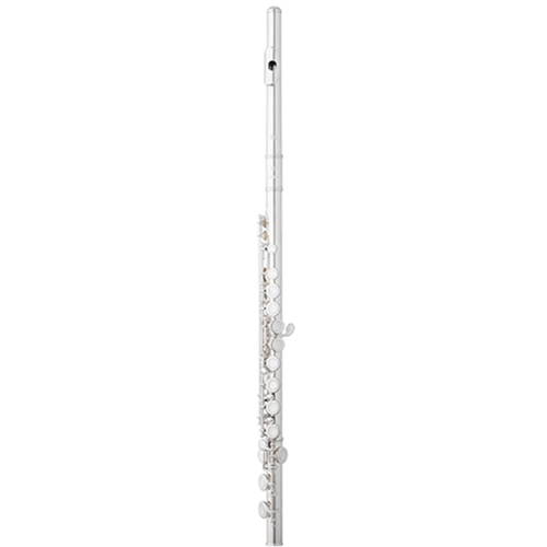 The Music Store, Inc. - Eastman EFL210 Student Flute, Low C