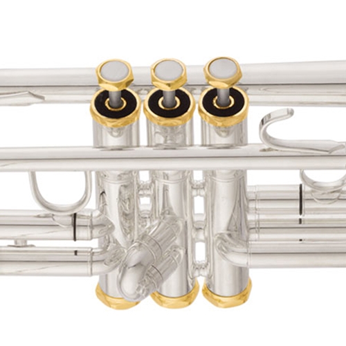 The Music Store, Inc. - Eastman ETR520GS Performance Bb