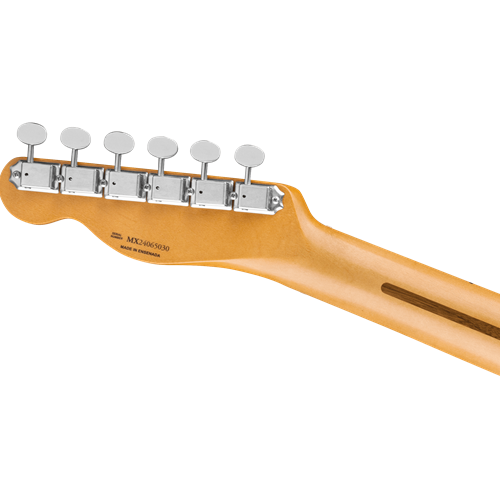 The Music Store, Inc. - Fender 0145902398 Brad Paisley Road Worn