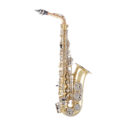 Music store saxophone new arrivals