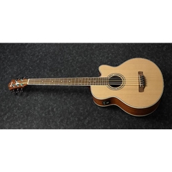 Ibanez AEB105ENT 5-String Acoustic Bass w/ Pickup