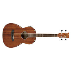 Ibanez PNB14EOPN Parlor Acoustic-Electric Bass - Mahogany Open Pore Natural