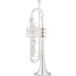 Eastman ETR520S Intermediate Bb Trumpet, Silver Plated