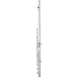 Eastman EFL220-BO Student Open Hole Flute with Low B Key