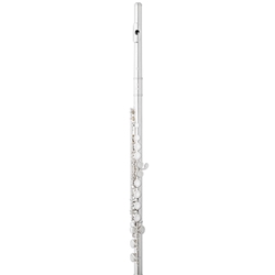 Eastman EFL210 Student Flute, Low C