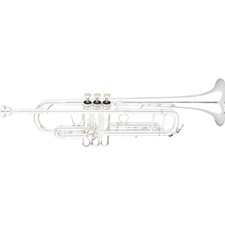 Eastman ETR824S Professional Bb Trumpet, .459 Bore, Monel Pistons, Silver Plated