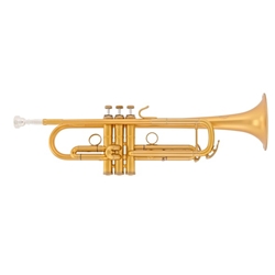 B & S BSMBXHLR-8M-0D MBX Heritage Brushed Gold Trumpet