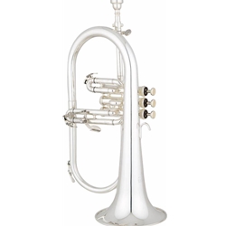 EFG512GS Eastman Flugelhorn w/Gold Brass Bell, Silver Plated