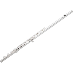 Eastman EFL420-BO Open-Hole Flute, Sterling Silver Head-joint and body. Offset G, B footjoint
