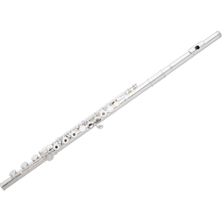 Eastman EFL420-BO Open-Hole Flute, Sterling Silver Head-joint and body. Offset G, B footjoint