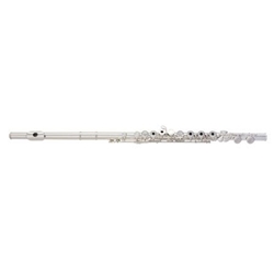 Eastman EFL220-O Open Hole Student Flute, Low C