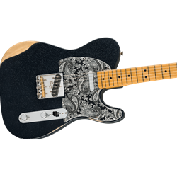 The Music Store, Inc. - Fender 0145902398 Brad Paisley Road Worn