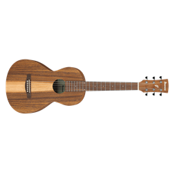 Ibanez PN2WSOPB Performance Series Parlor Sized Acoustic Guitar